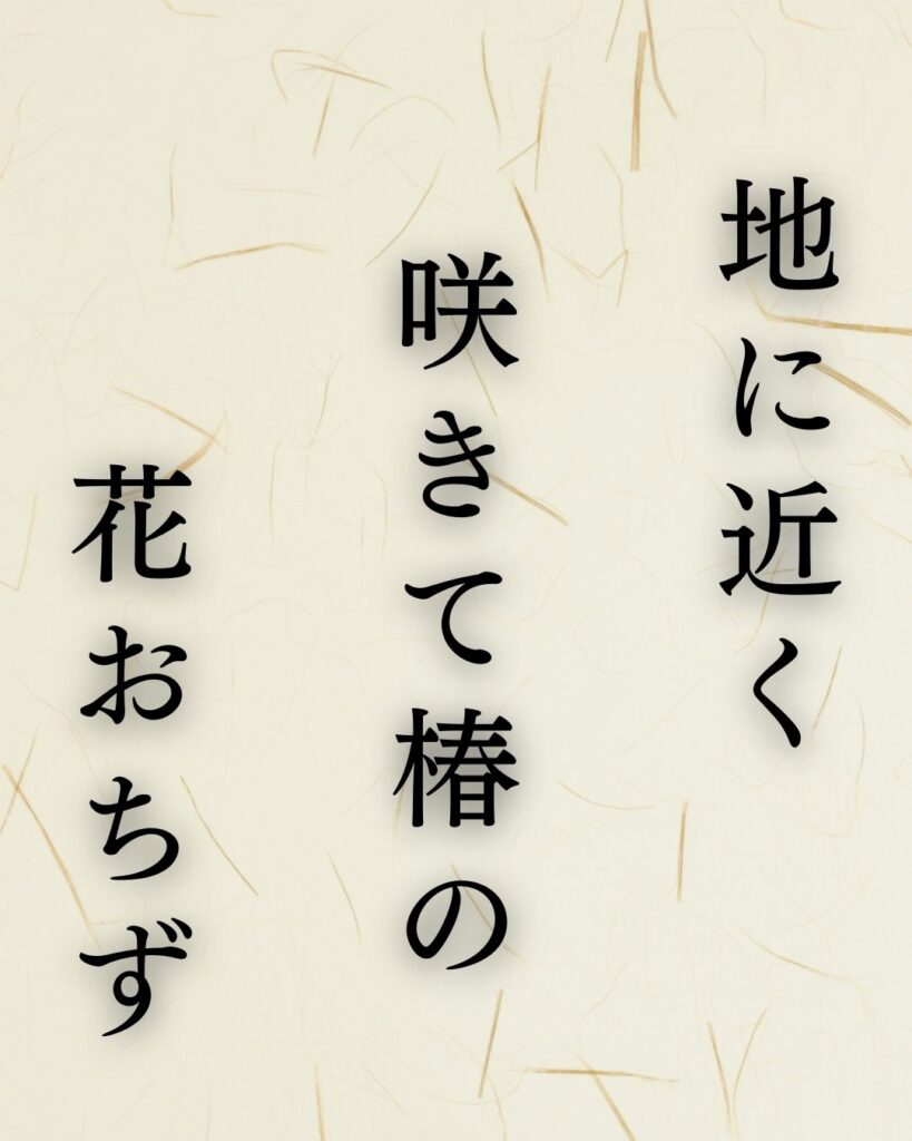 飯田蛇笏の春の俳句5選-代表作をわかりやすく解説！「地に近く　咲きて椿の　花おちず」この俳句を記載した画像