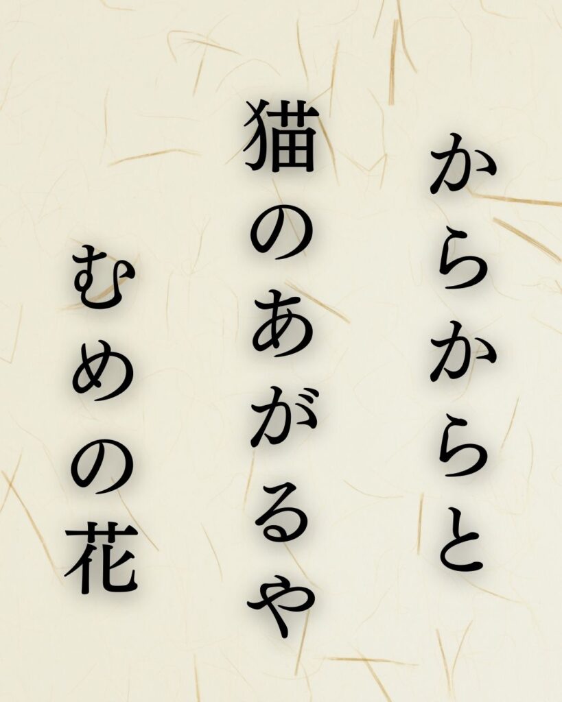 森川許六の春の俳句5選−武士が詠むやさしき季節「からからと 猫のあがるや むめの花」この俳句を記載した画像