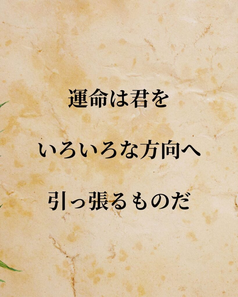 「クリント・イーストウッド監督」「運命は君をいろいろな方向へ引っ張るものだ。」この名言を記載した画像