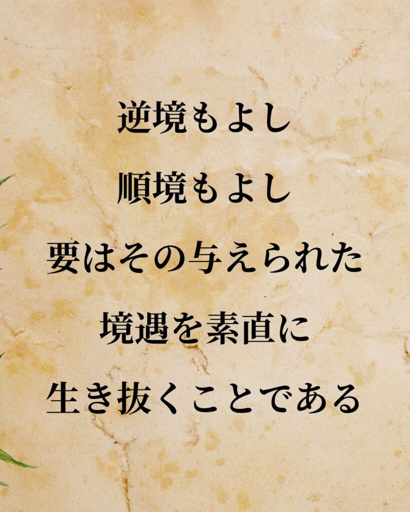松下幸之助「逆境もよし、順境もよし。要はその与えられた境遇を素直に生き抜くことである。」この名言のイラスト