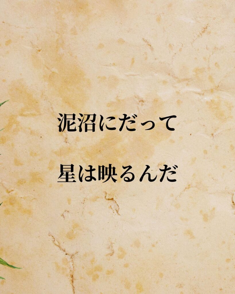 「黒澤明監督」「泥沼にだって星は映るんだ。」この名言を記載した画像