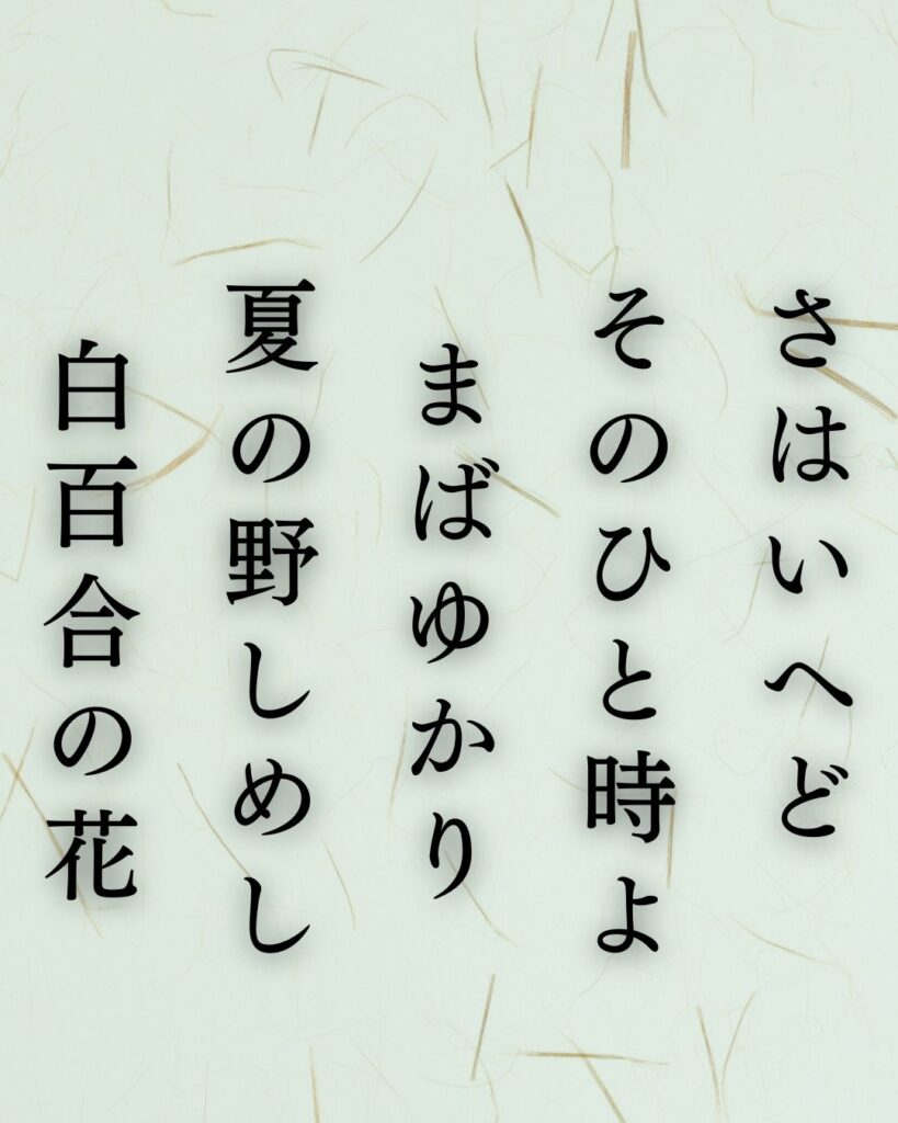 与謝野晶子の夏の短歌5選-代表作をわかりやすく解説!「さはいへど そのひと時よ まばゆかり 夏の野しめし 白百合の花」この短歌を記載した画像