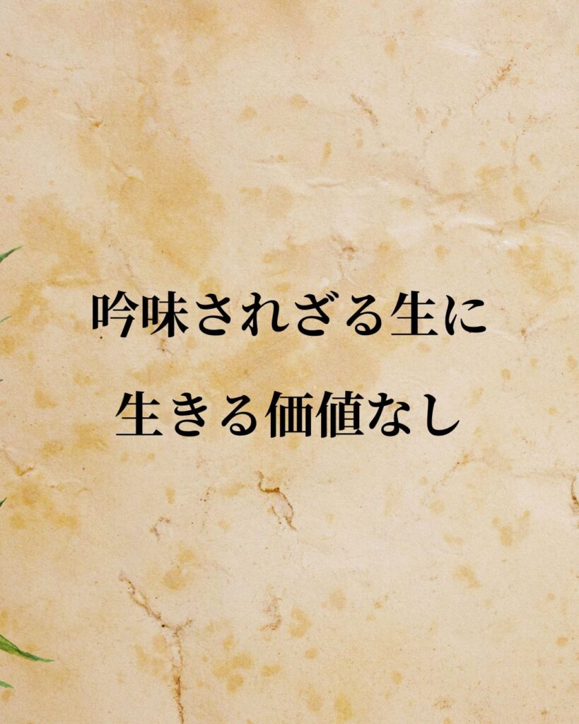ソクラテス「吟味されざる生に、生きる価値なし。」この名言のイラスト