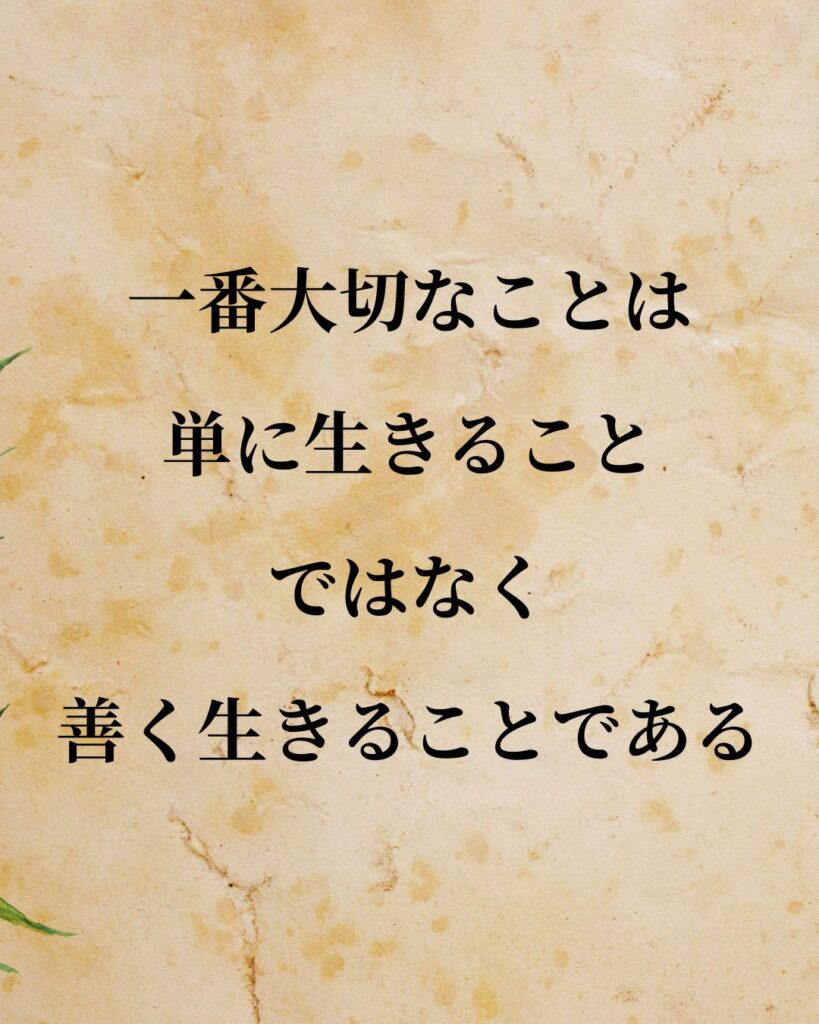 ソクラテス「一番大切なことは、単に生きることではなく、善く生きることである。」この名言のイラスト