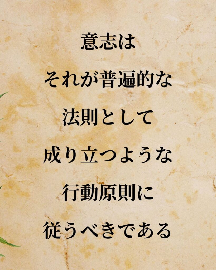 カント「意志は、それが普遍的な法則として成り立つような行動原則に従うべきである。」この名言のイラスト