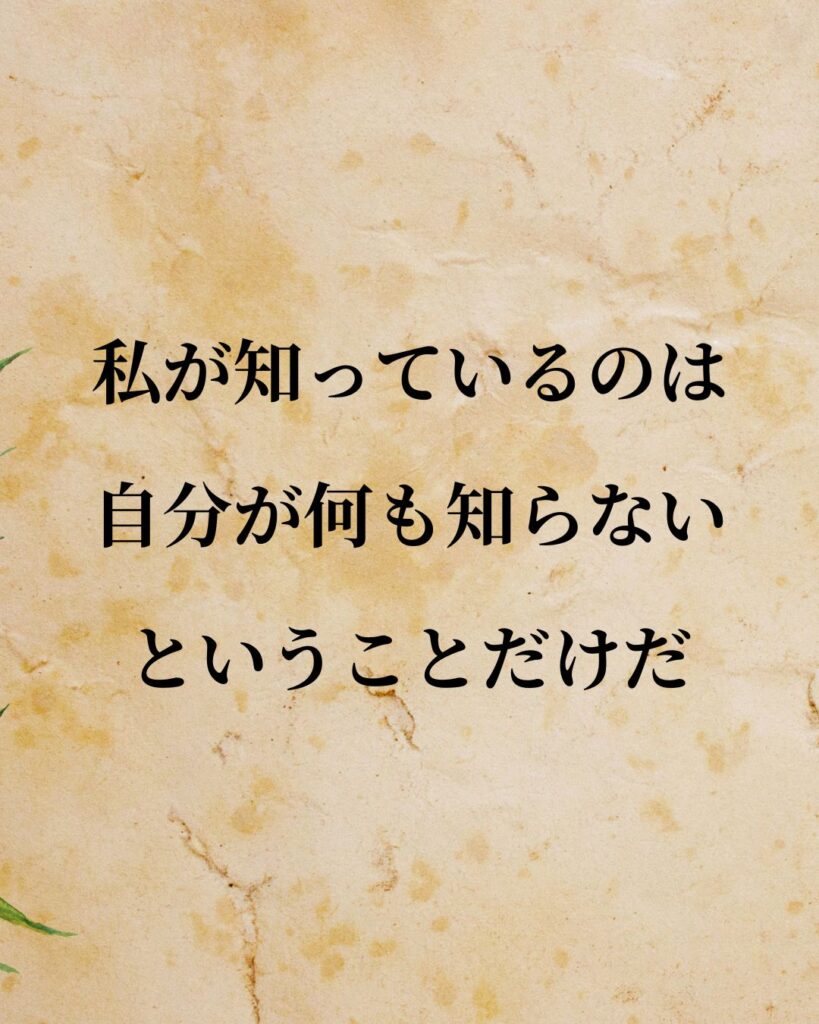 ソクラテス「私が知っているのは、自分が何も知らないということだけだ。」この名言のイラスト