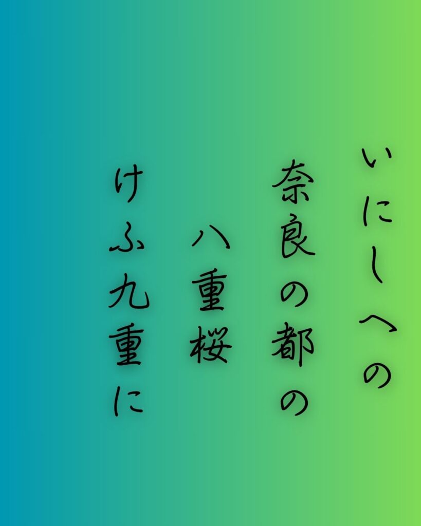 百人一首第61番 伊勢大輔『いにしへの』背景解説–宮の記憶「いにしへの 奈良の都の 八重桜 けふ九重に にほひぬるかな」の情景をテーマにした和歌の画像