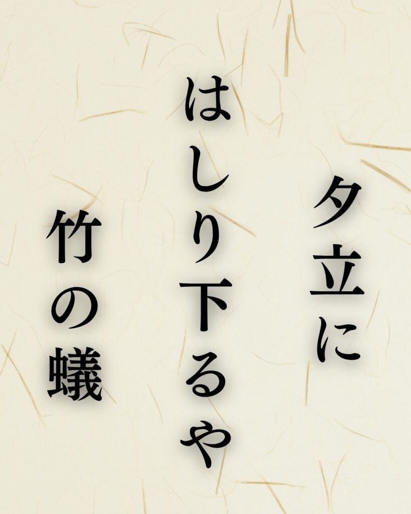 内藤丈草の夏の俳句5選-代表作をわかりやすく解説!「夕立に はしり下るや 竹の蟻」この俳句を記載した画像