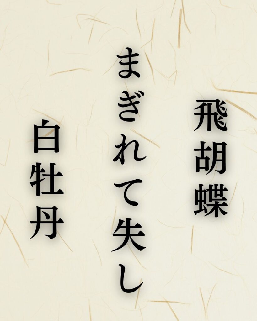 杉山杉風の夏の俳句5選-代表作をわかりやすく解説!「飛胡蝶 まぎれて失し 白牡丹」この俳句を記載した画像