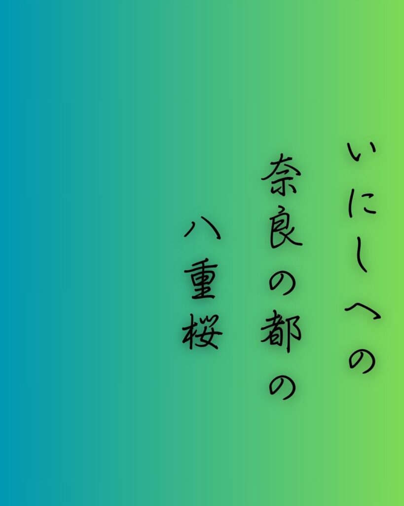 百人一首第61番 伊勢大輔『いにしへの』背景解説–宮の記憶「いにしへの 奈良の都の 八重桜 けふ九重に にほひぬるかな」の情景をテーマにした和歌の画像