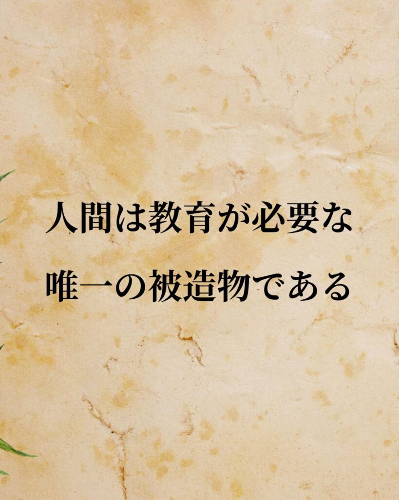カント「人間は教育が必要な、唯一の被造物である。」この名言のイラスト