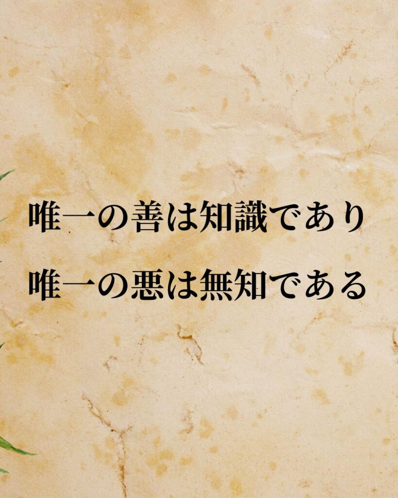 ソクラテス「唯一の善は知識であり、唯一の悪は無知である。」この名言のイラスト