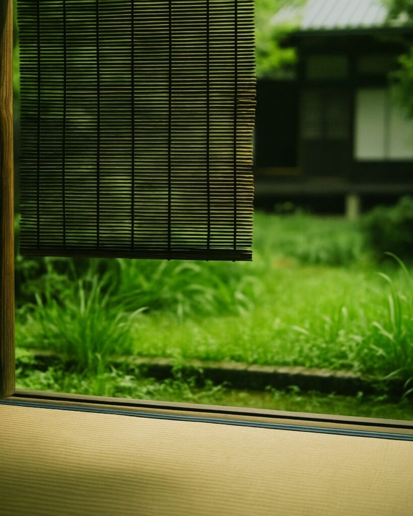 山口青邨の夏の俳句5選-代表作をわかりやすく解説!「庭の草 うつくしかりし 青簾」この俳句をイメージした画像