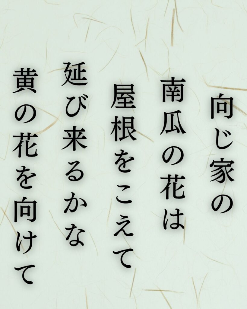 島木赤彦の夏の短歌5選-代表作をわかりやすく解説!「向じ家の 南瓜の花は 屋根をこえて 延び来るかな 黄の花を向けて」この短歌を記載した画像