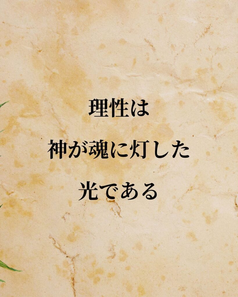 アリストテレス「理性は、神が魂に灯した光である。」この名言のイラスト