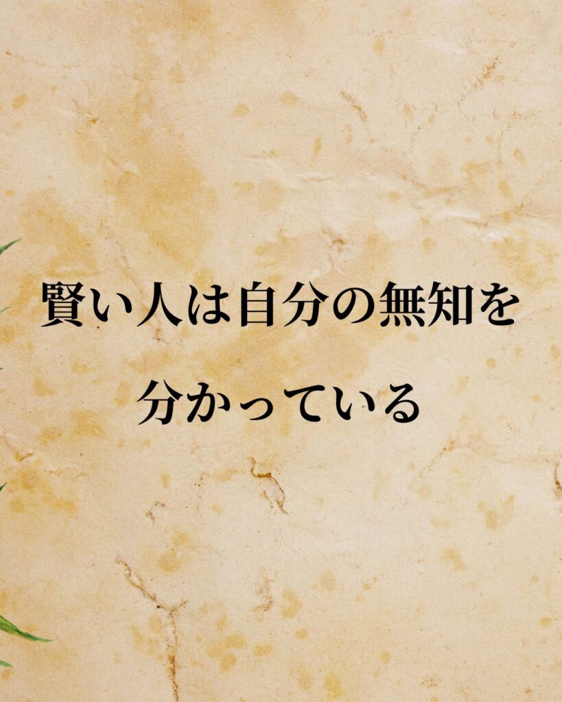 プラトン「賢い人は自分の無知を分かっている。」この名言のイラスト