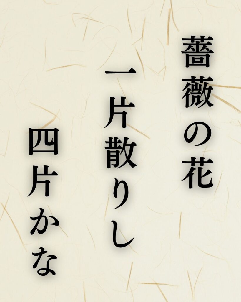 富安風生の夏の俳句5選-代表作をわかりやすく解説!「薔薇の花 一片散りし 四片かな」この俳句を記載した画像