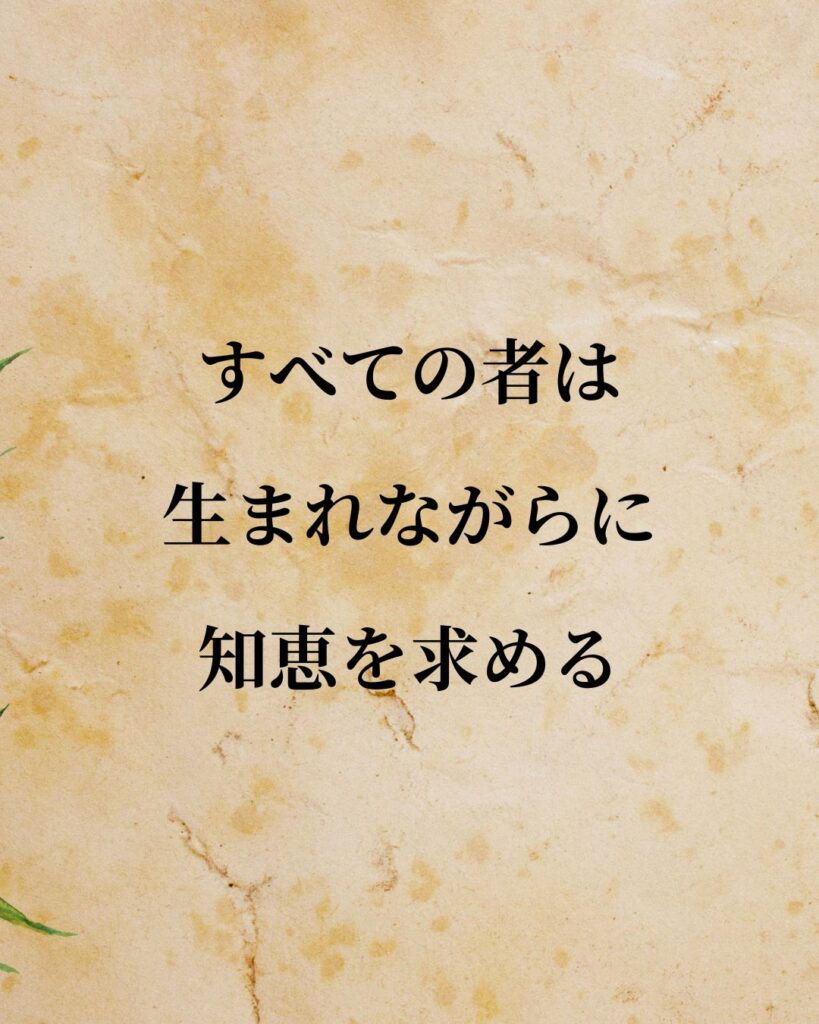 アリストテレス「すべての者は生まれながらに知恵を求める。」この名言のイラスト