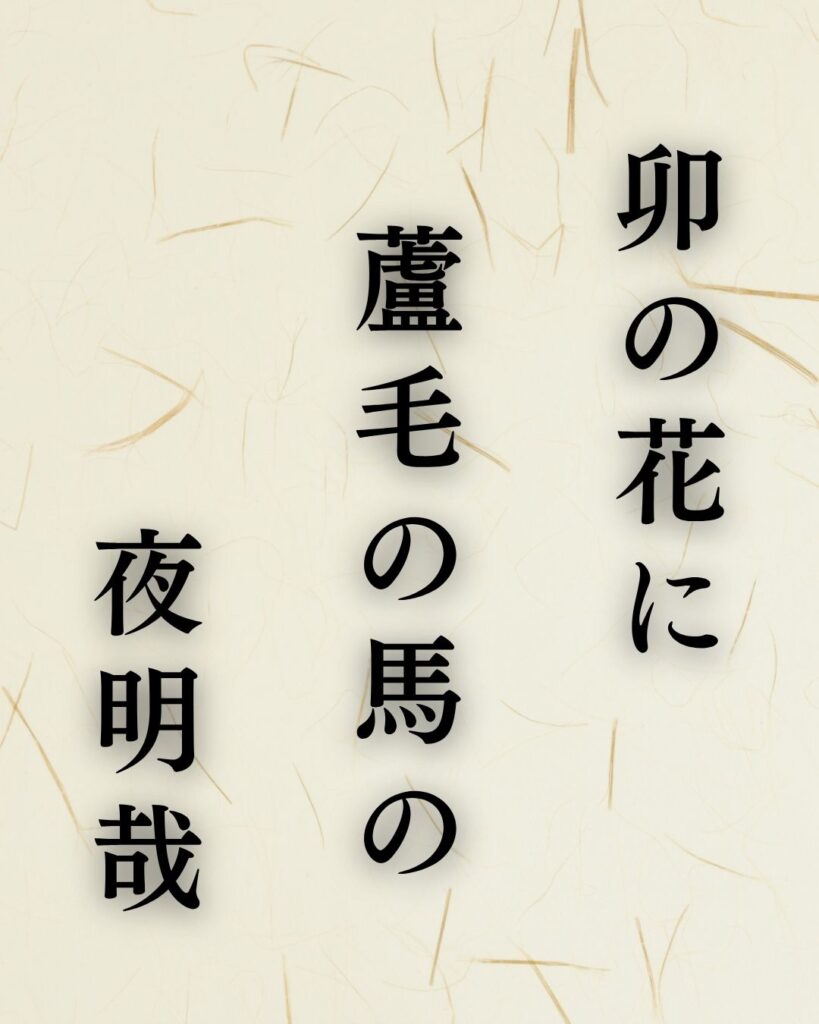 森川許六の夏の俳句5選-代表作をわかりやすく解説!「卯の花に 蘆毛の馬の 夜明哉」この俳句を記載した画像