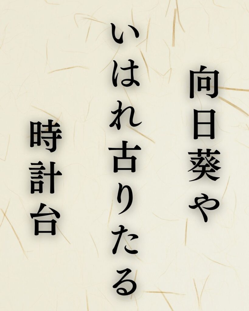富安風生の夏の俳句5選-代表作をわかりやすく解説!「向日葵や いはれ古りたる 時計台」この俳句を記載した画像