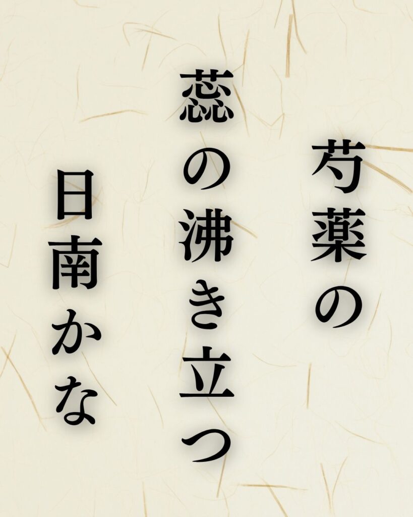 炭太祇の夏の俳句5選-代表作をわかりやすく解説!「芍薬の 蕊の沸き立つ 日南かな」この俳句を記載した画像