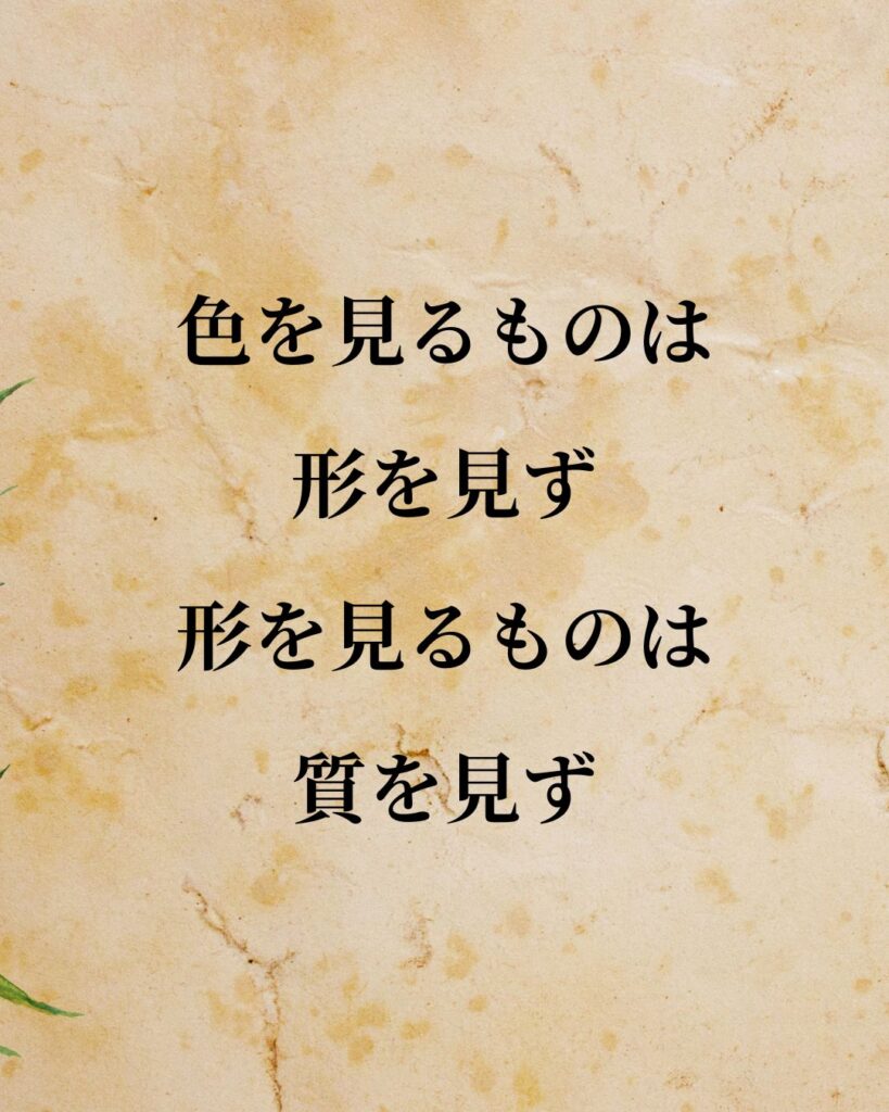 夏目漱石「色を見るものは形を見ず、形を見るものは質を見ず。」この名言のイラスト
