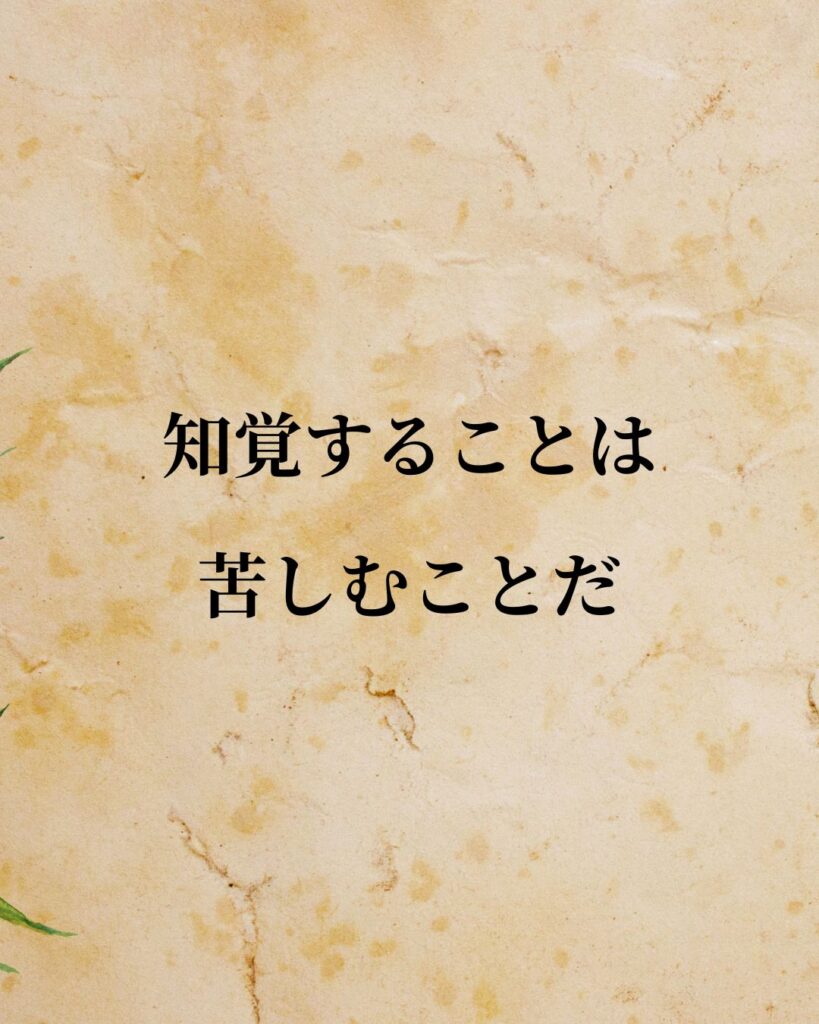 アリストテレス「知覚することは、苦しむことだ。」この名言のイラスト
