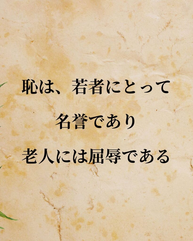 アリストテレス「恥は、若者にとって名誉であり、老人には屈辱である。」この名言のイラスト