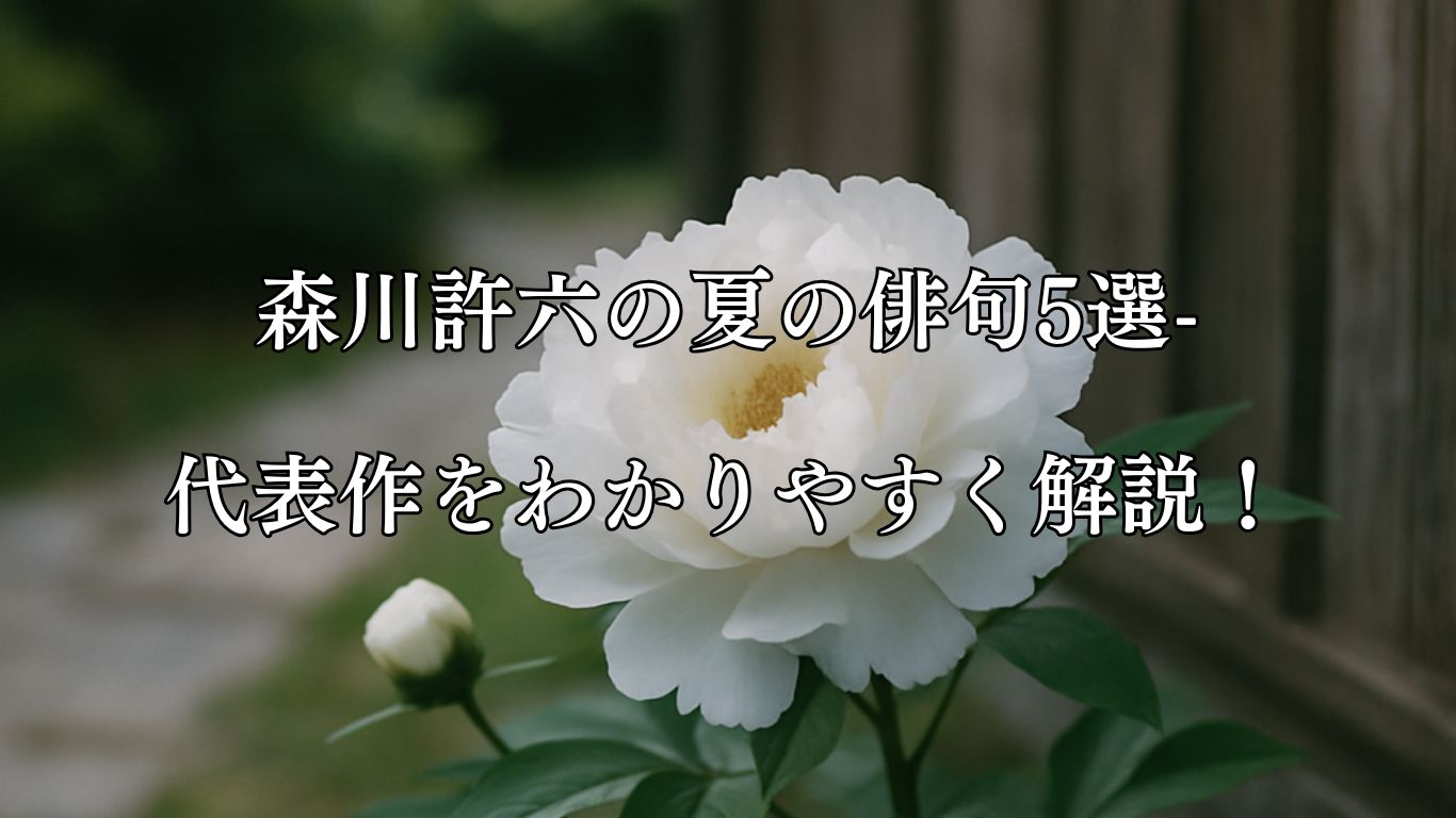 森川許六の夏の俳句5選-代表作をわかりやすく解説！「春過ぎて　夏来にけらし　白牡丹」この俳句をイメージした画像