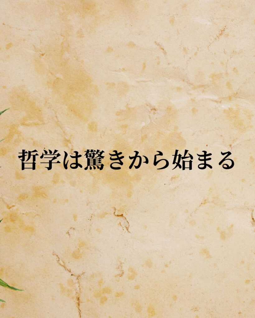 プラトン「哲学は驚きから始まる。」この名言のイラスト