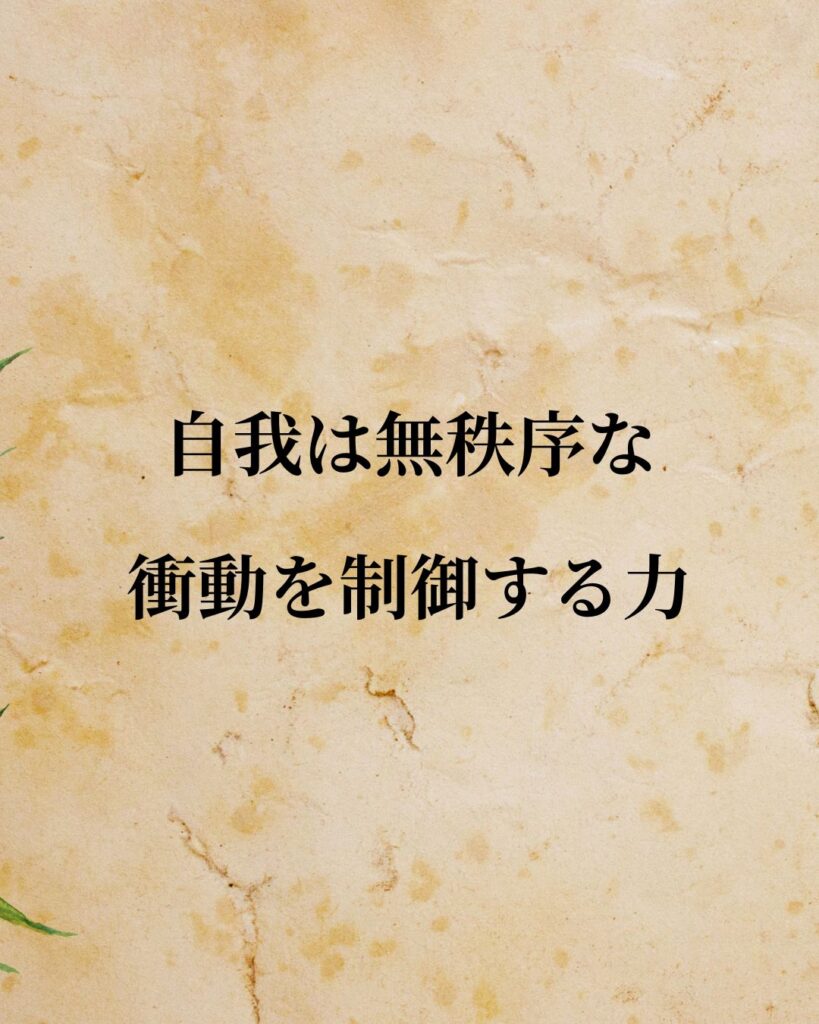 フロイト「自我は無秩序な衝動を制御する力」この名言のイラスト