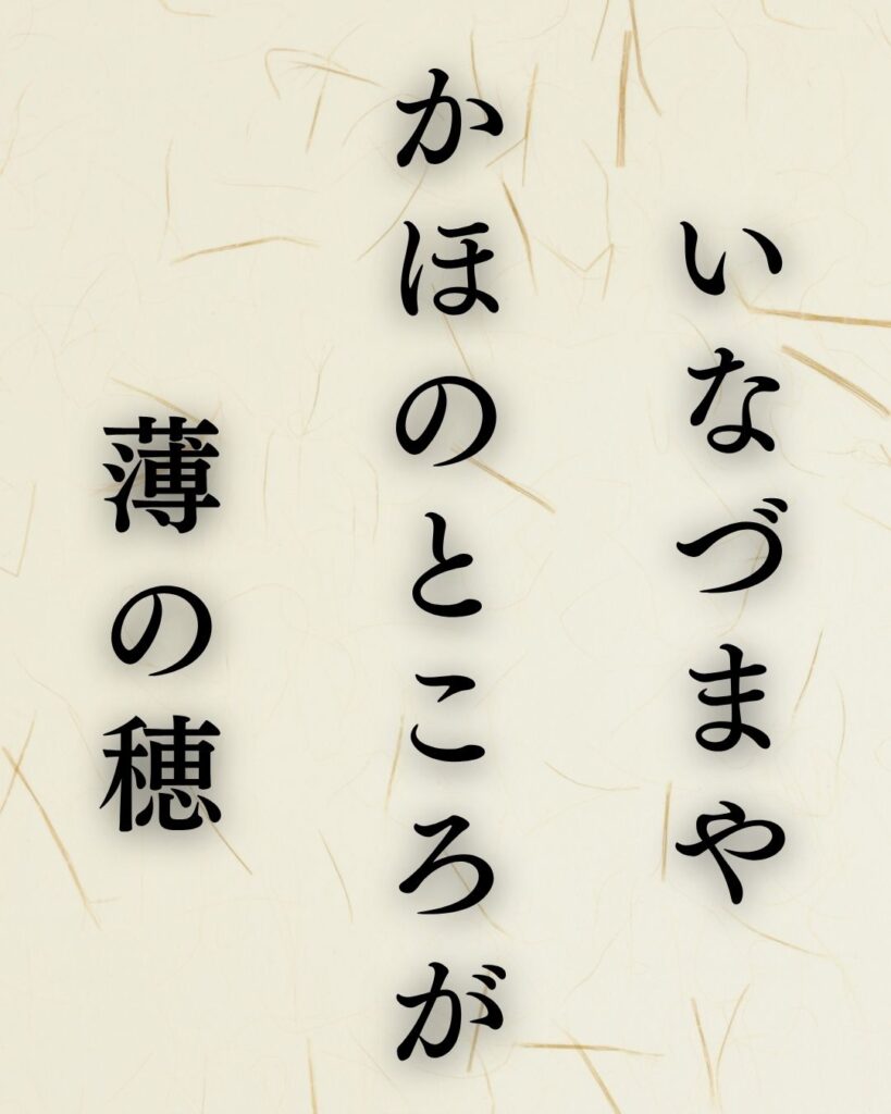松尾芭蕉の秋の俳句5選-代表作をわかりやすく解説!「いなづまや かほのところが 薄の穂」この俳句を記載した画像