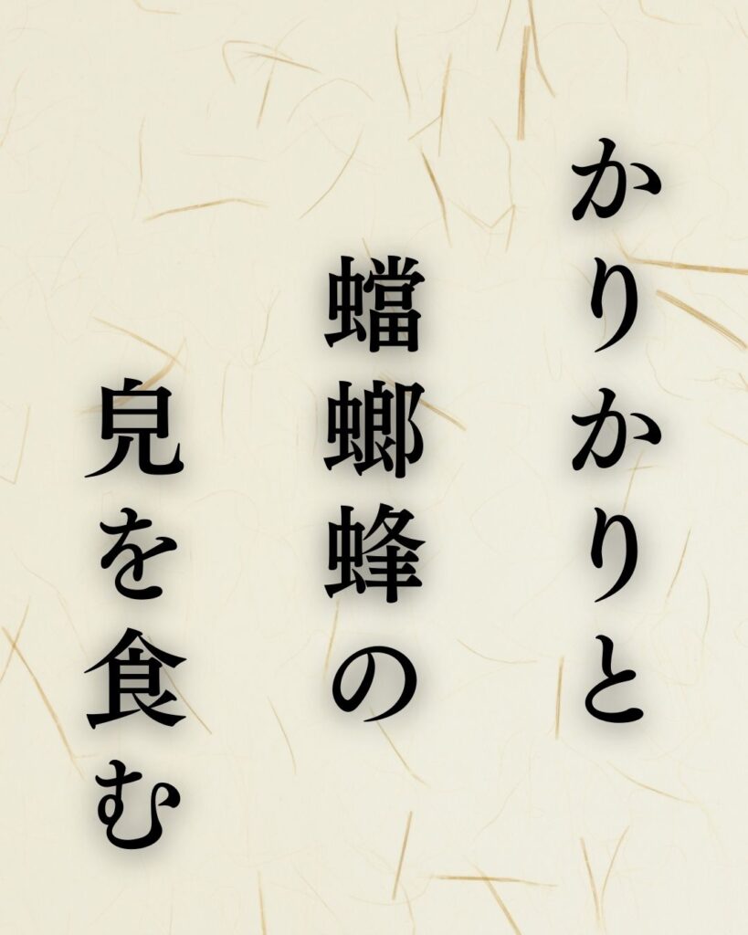 山口誓子の秋の俳句5選-代表作をわかりやすく解説！「かりかりと　蟷螂蜂の　皃（かほ）を食む」この俳句を記載した画像