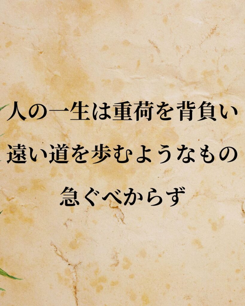 徳川家康「人の一生は重荷を背負い、遠い道を歩むようなもの。急ぐべからず。」この名言のイラスト