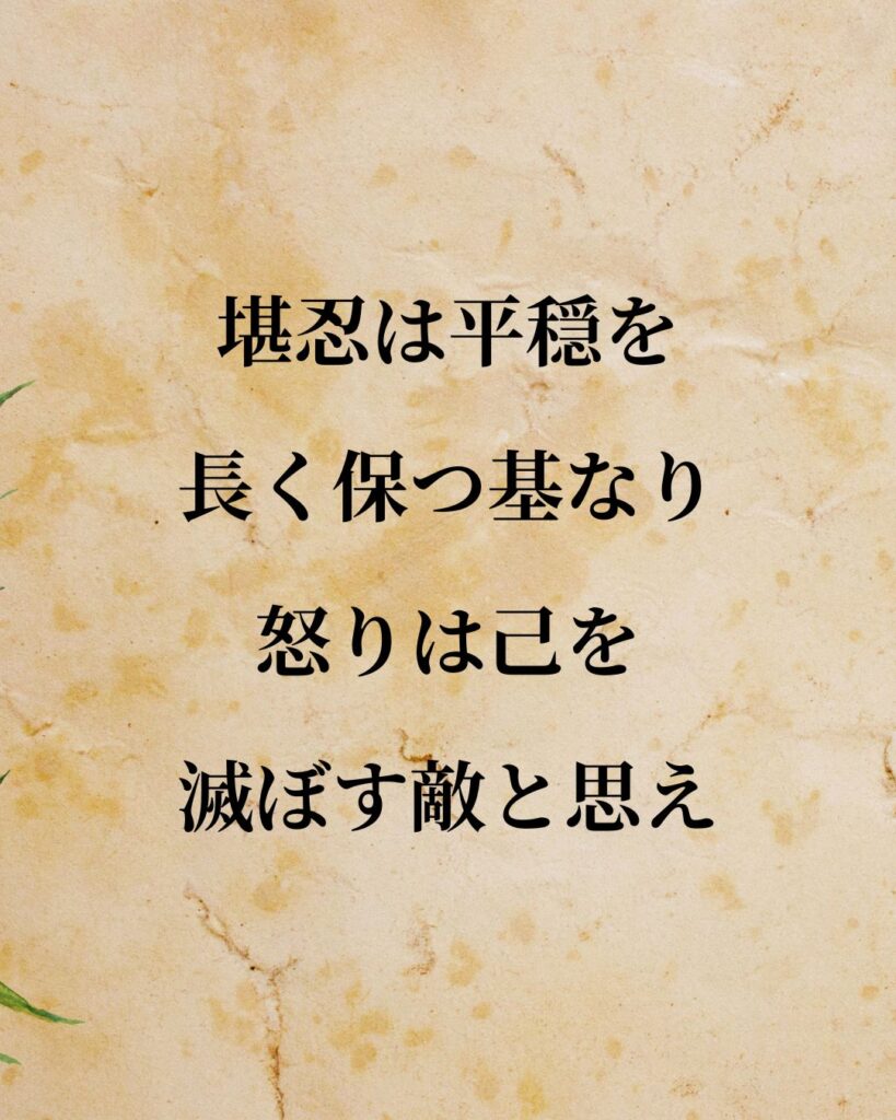 徳川家康「堪忍は平穏を長く保つ基なり。怒りは己を滅ぼす敵と思え。」この名言のイラスト