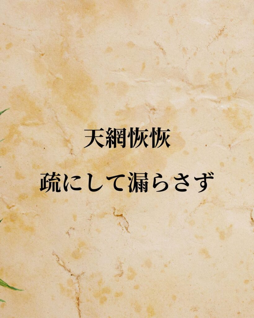 老子「天網恢恢、疏にして漏らさず」この名言のイラスト