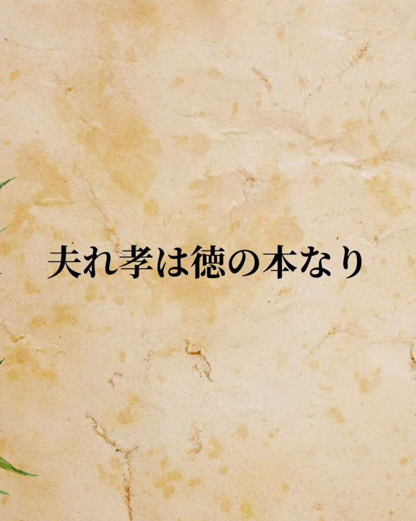 孔子「夫れ孝は徳の本なり。」この名言のイラスト