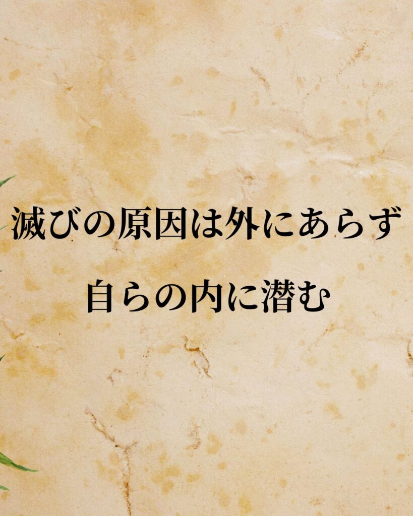 徳川家康「滅びの原因は外にあらず、自らの内に潜む。」この名言のイラスト