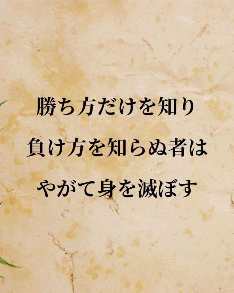 徳川家康「勝ち方だけを知り、負け方を知らぬ者は、やがて身を滅ぼす。」この名言のイラスト