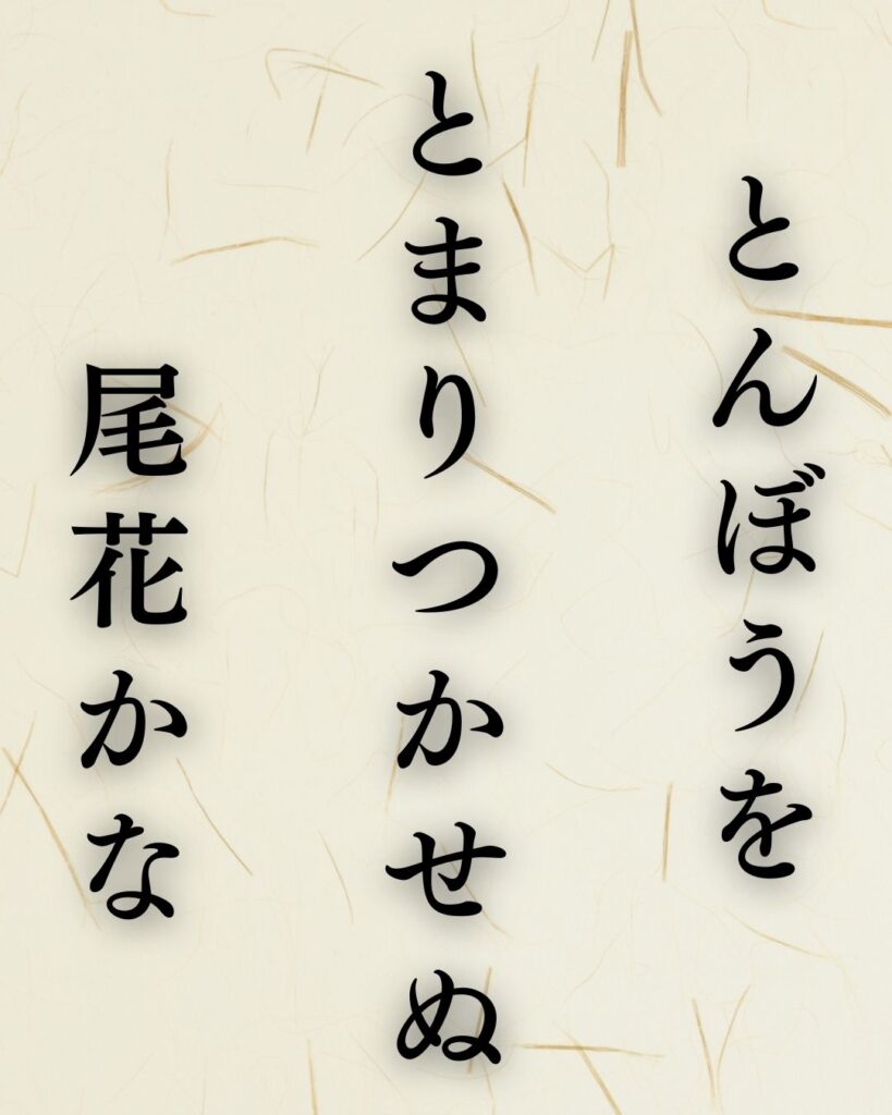 杉山杉風の秋の俳句5選-代表作をわかりやすく解説！「とんぼうを　とまりつかせぬ　尾花かな」この俳句を記載した画像