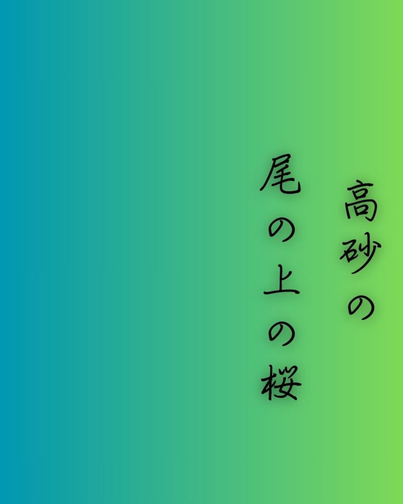 百人一首第73番 大江匡房『高砂の』背景解説–惜しむ花の春「高砂の 尾の上の桜 咲きにけり 外山の霞 立たずもあらなむ」の情景をテーマにした和歌の画像