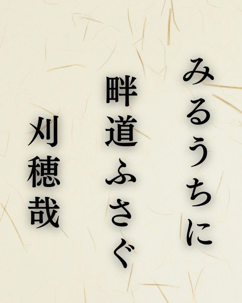 杉山杉風の秋の俳句5選-代表作をわかりやすく解説！「みるうちに　畔道ふさぐ　刈穂哉」この俳句を記載した画像