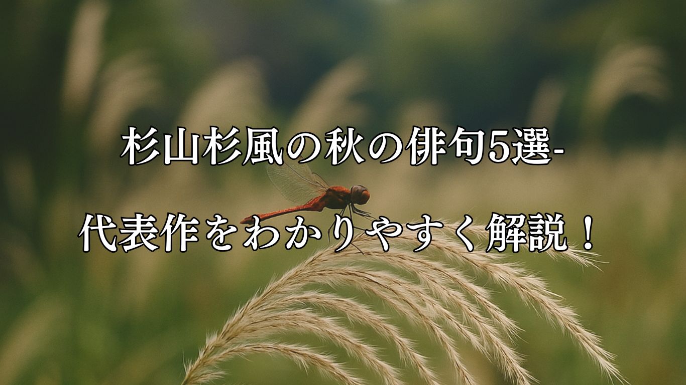 杉山杉風の秋の俳句5選-代表作をわかりやすく解説！「とんぼうを　とまりつかせぬ　尾花かな」この俳句をイメージした画像