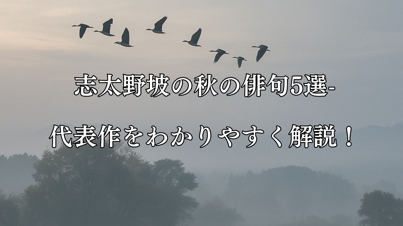 志太野坡の秋の俳句5選-代表作をわかりやすく解説！「秋もやや　雁おり揃ふ　寒さ哉」この俳句をイメージした画像