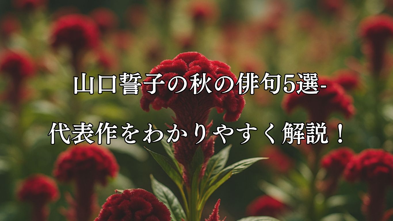 山口誓子の秋の俳句5選-代表作をわかりやすく解説！「鶏頭の　矮醜なるに　ちかづきゆく」この俳句をイメージした画像