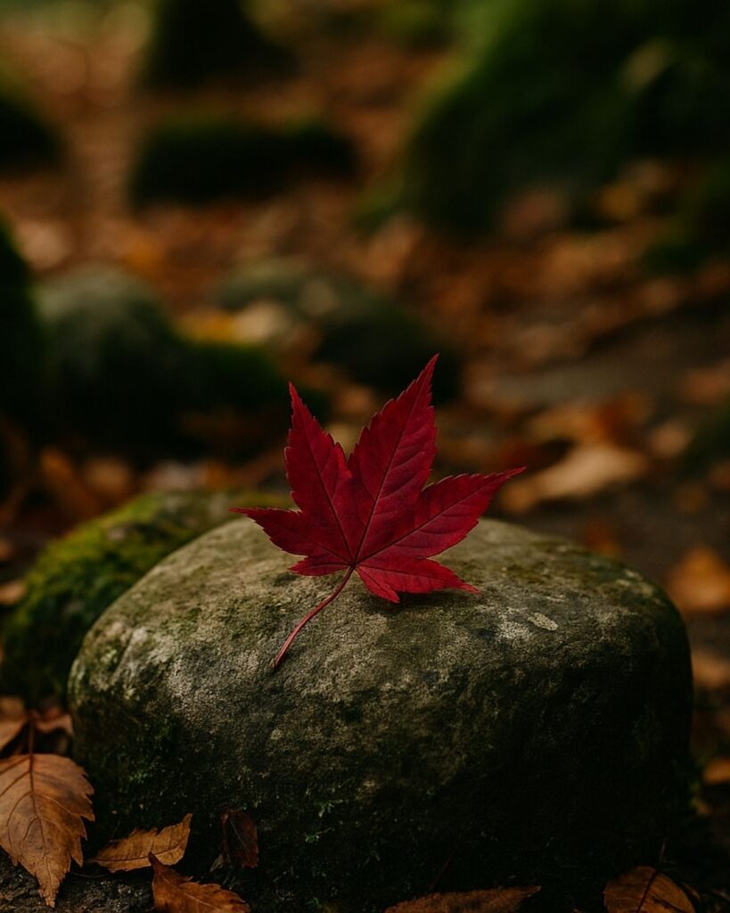 富安風生の秋の俳句5選-代表作をわかりやすく解説!「一ひらの 濃ゆき紅葉を 手向かな」この俳句をイメージした画像