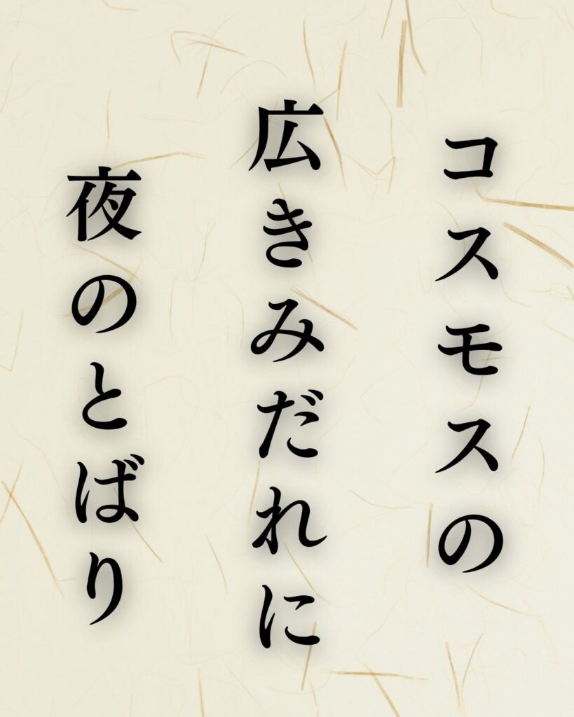 中村汀女の秋の俳句5選-代表作をわかりやすく解説!「コスモスの 広きみだれに 夜のとばり」この俳句を記載した画像