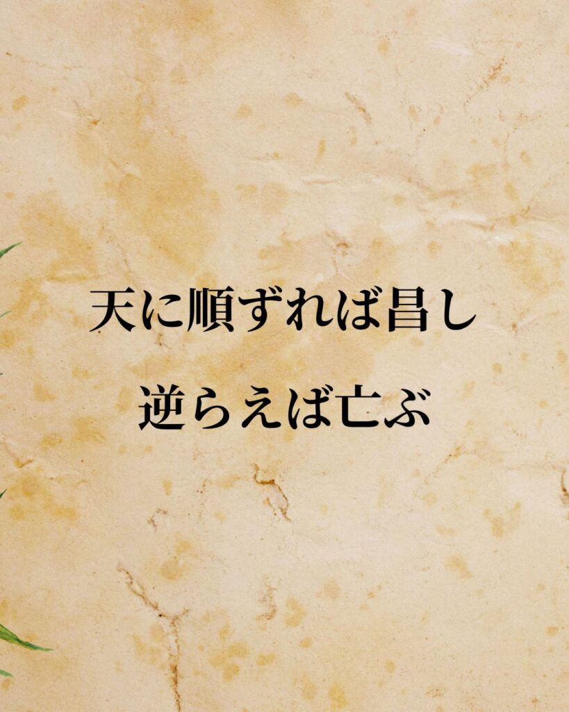 孟子「天に順ずれば昌し、逆らえば亡ぶ。」この名言のイラスト