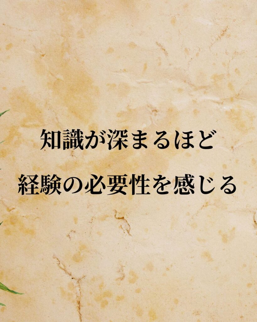 デカルト「知識が深まるほど経験の必要性を感じる。」この名言のイラスト