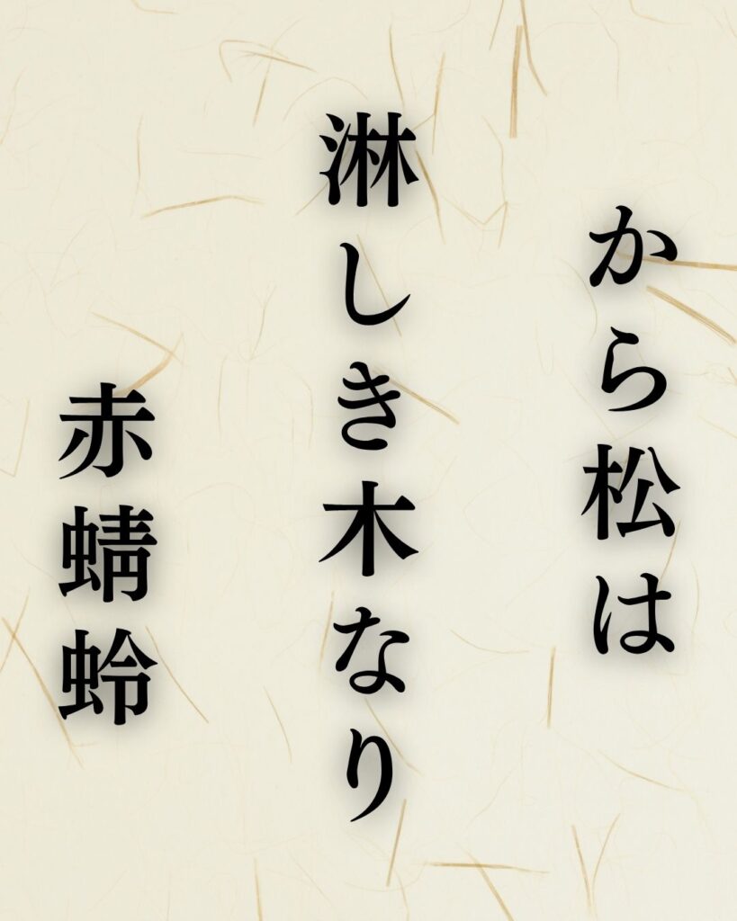 河東碧梧桐の秋の俳句5選-代表作をわかりやすく解説!「から松は 淋しき木なり 赤蜻蛉」この俳句を記載した画像
